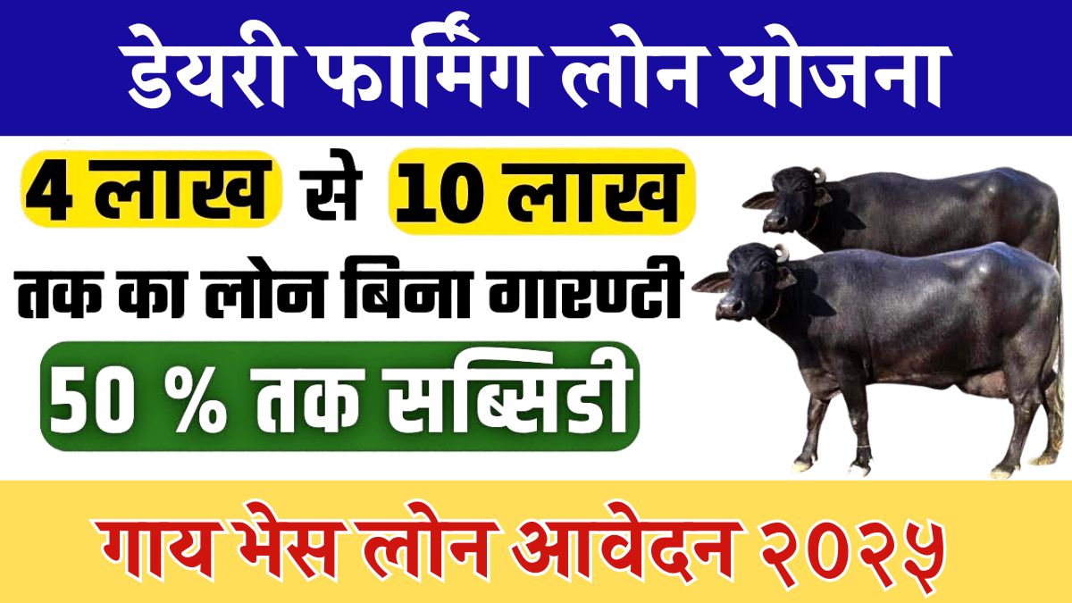 dairy farming loan kaise le